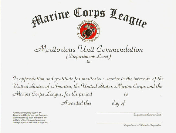 Meritorious  Unit Commendation - Department