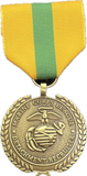 Medals and Ribbon Detachment Recruiter Bronze
