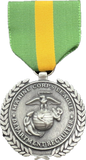 Medals and Ribbon Department Recruiter Silver
