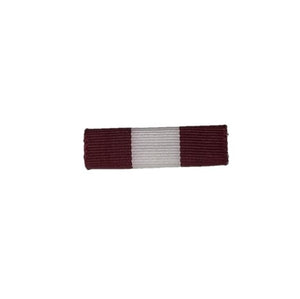 Medals and Ribbon Distinguished Citizen Bronze